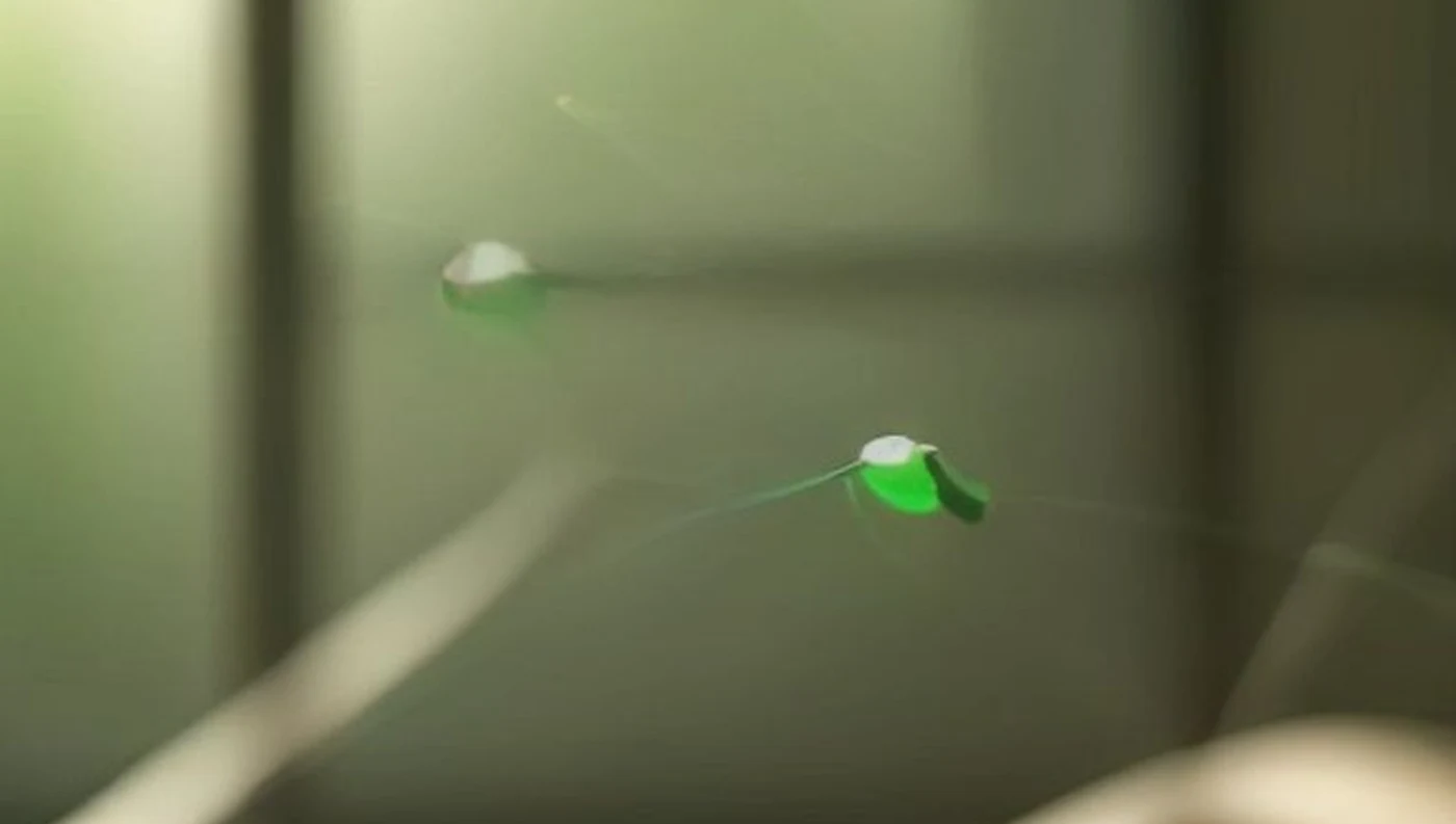 Пептиды: что это и как они работают на самом деле